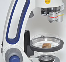 Swift M3 Microscope viewing Geological Specimen