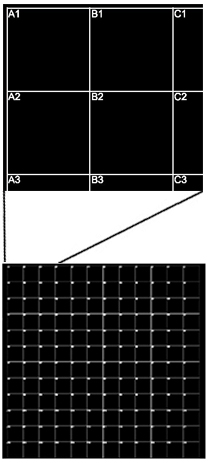 Pelcotec™ SFG12 Finder Grid Substrate