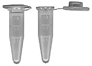 microcentrifuge tubes