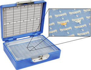 Gilder SB50 TEM grid storage box for 50 TEM grids – EMSIS ASIA – Electron  Microscopy Imaging Company