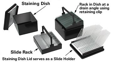 slide staining system