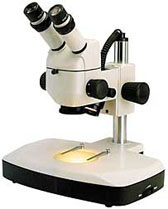 Motic K-500L Stereo Microscope