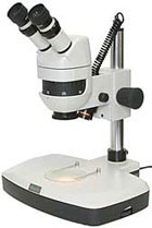 Motic K-400L Stereo Microscope