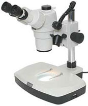 Motic SMZ-168 Stereo Zoom Microscope